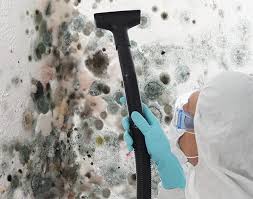 Best Emergency Mold Remediation in Wadley, GA